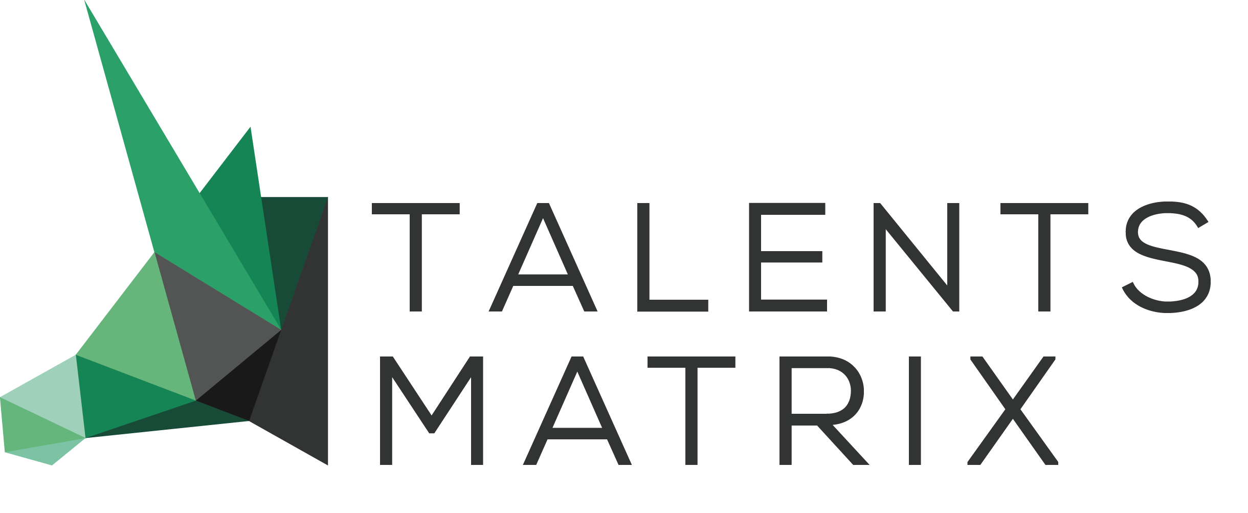 Talents Matrix-A professional Executive Search Agency focused on l IT& Internet industry-TalentsMatrix猎头公司
